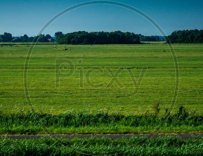 Netherlands, South Holland, A Large Green Field With Trees In The Background