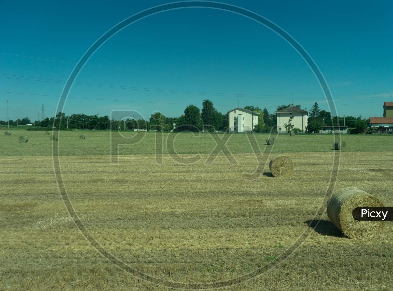 Italy,La Spezia To Kasltelruth Train, A Close Up Of A Dry Grass Field