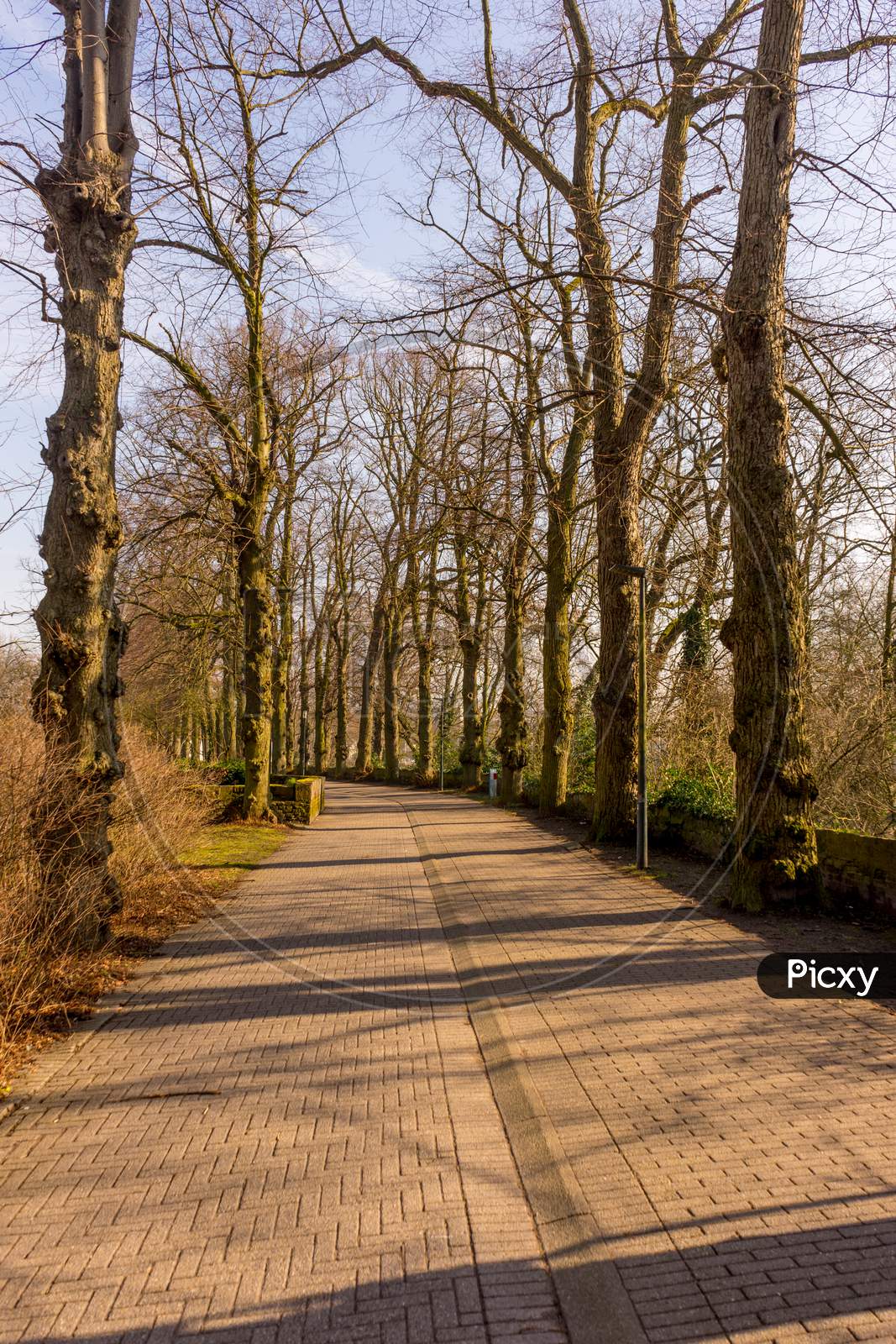 Belgium, Bruges, Walking Path In A Garden