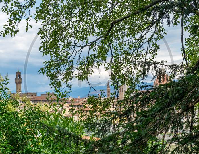 Italy,Florence, Leaves Of A Tree With Cityscape