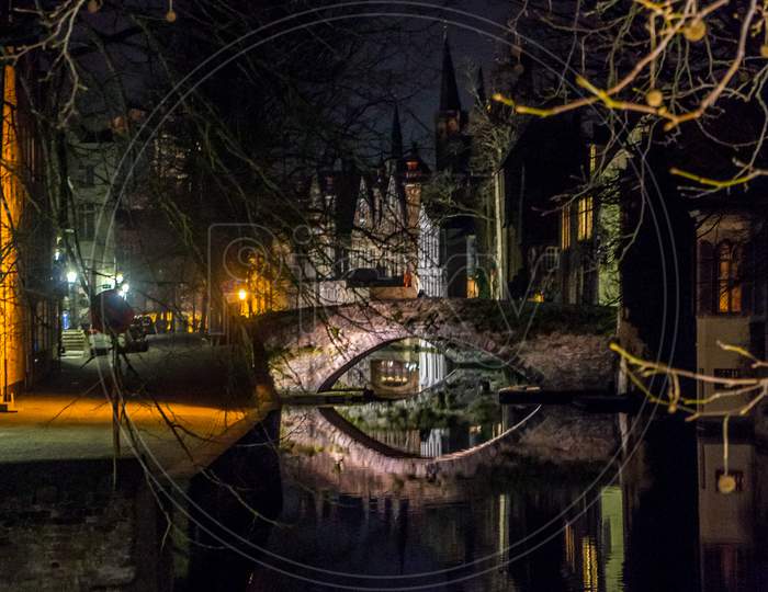Belgium, Bruges, A Tree Lit Up At Night