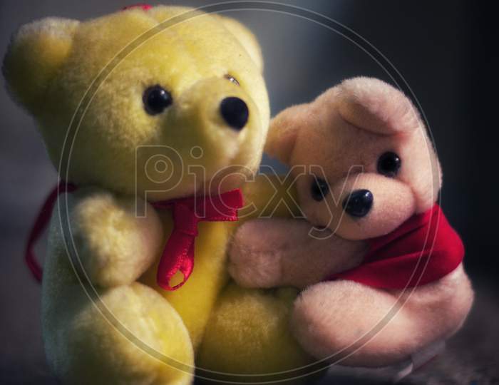A pair of teddy bear