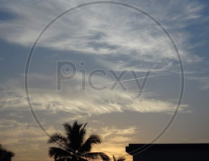 A view of coconut and other leaves making amazing landscape of sunrise in morning wallpaper