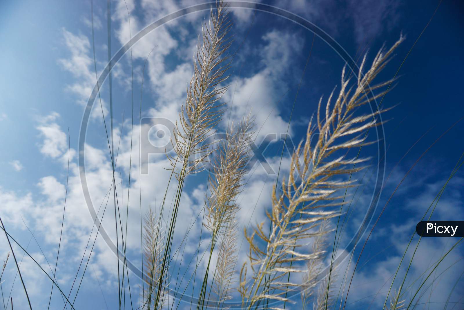 Sky with kashful hi-res stock photography and images - Alamy