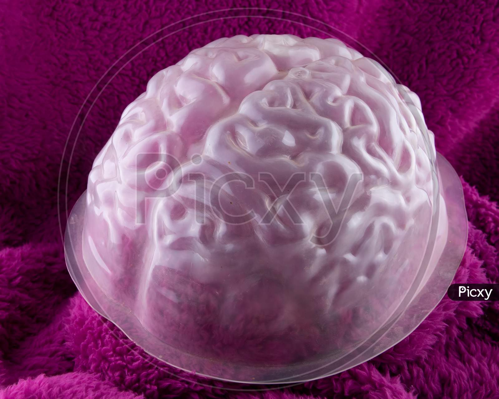 Wrinkled Faux Brain On Fluffy Purple Background. Concept For Halloween Shenanignans.