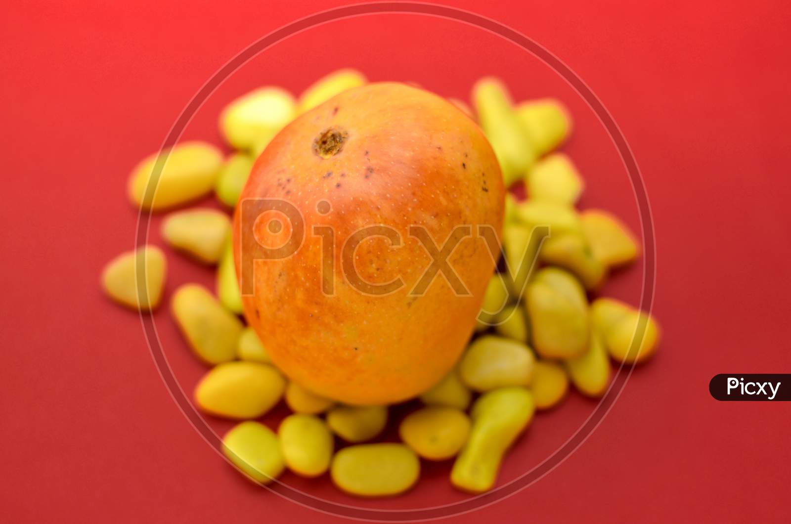 A Yellow Indian Alphanso Mango On Red Background