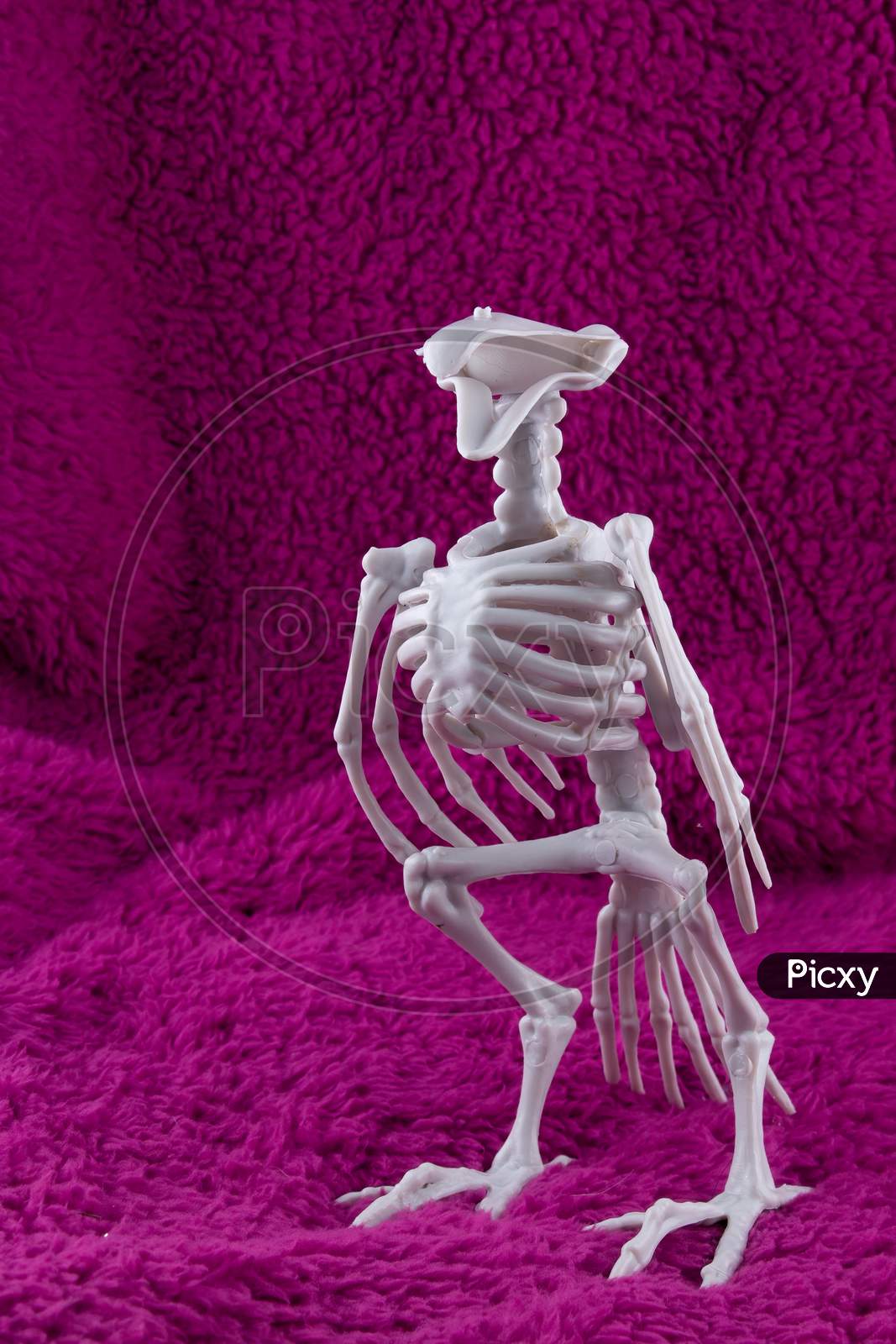 Scary Headless Bird Skeleton On Fluffy Purple Background. Concept For Halloween Fun.