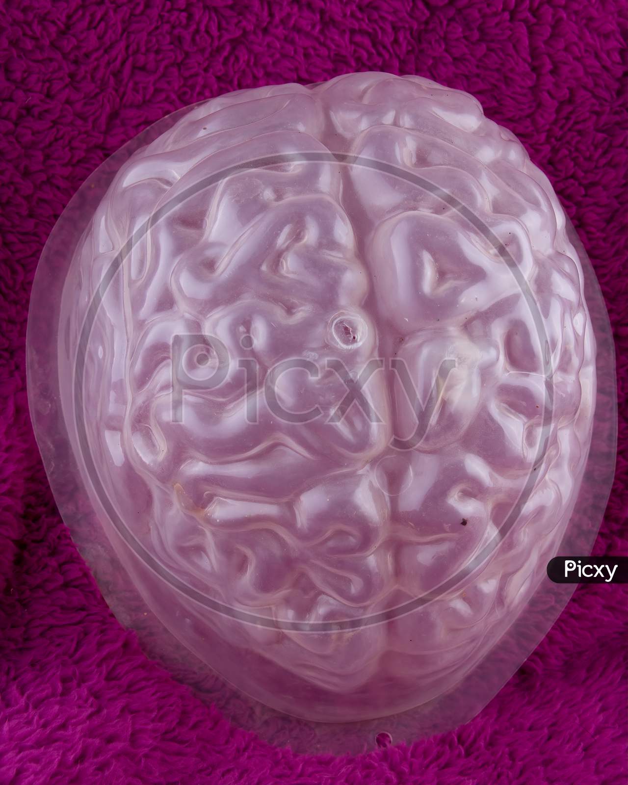 Wrinkled Faux Brain On Fluffy Purple Background. Concept For Halloween Shenanignans.