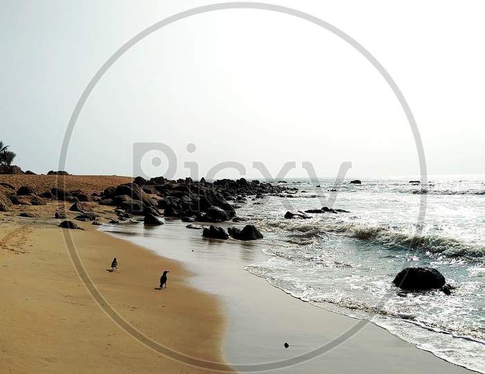 Sea Beach in India Landscape _ Day