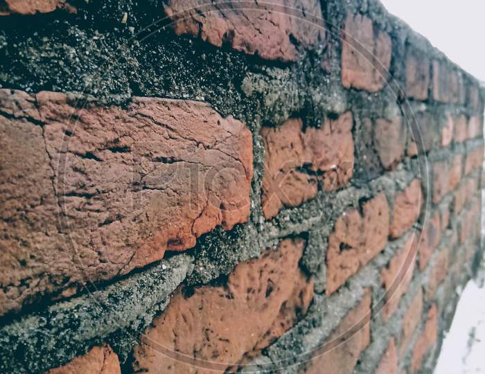 The Brick wall