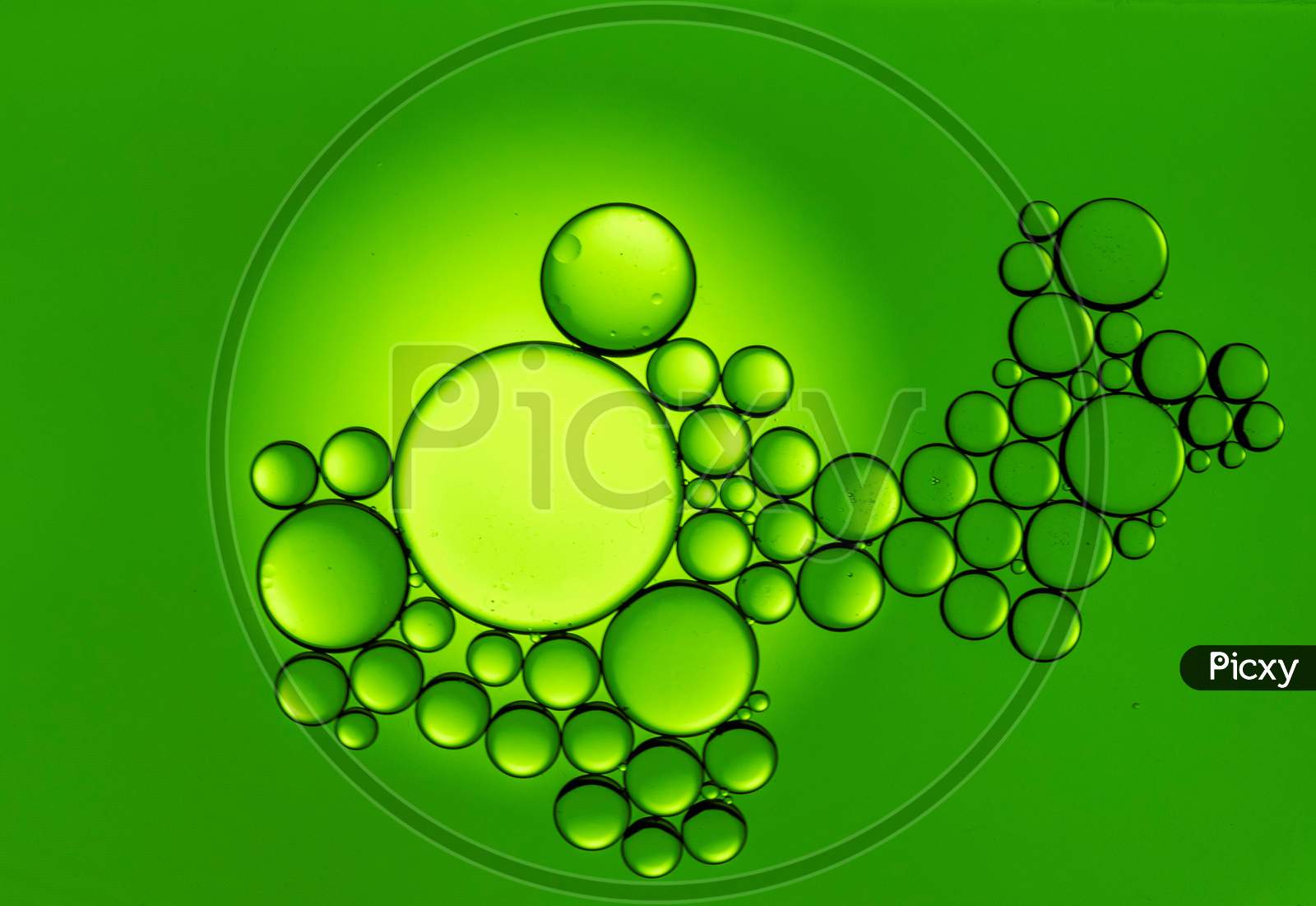 Colorful Oil Drops On A Green Background Water Surface
