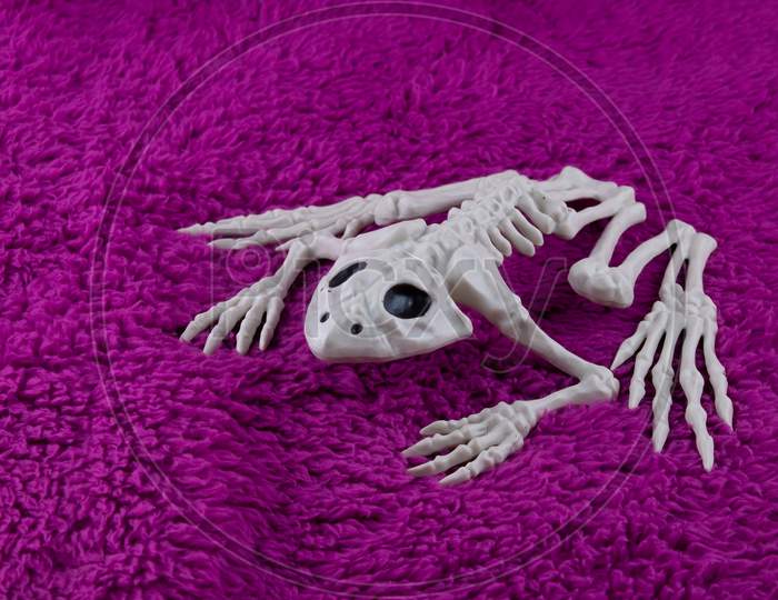 Spooky Toad Skeletion On Fluffy Purple Background. Concept For Halloween.