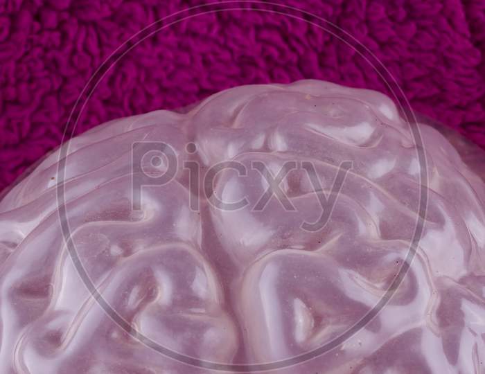 Wrinkled Faux Brain On Fluffy Purple Background. Concept For fun Halloween scares