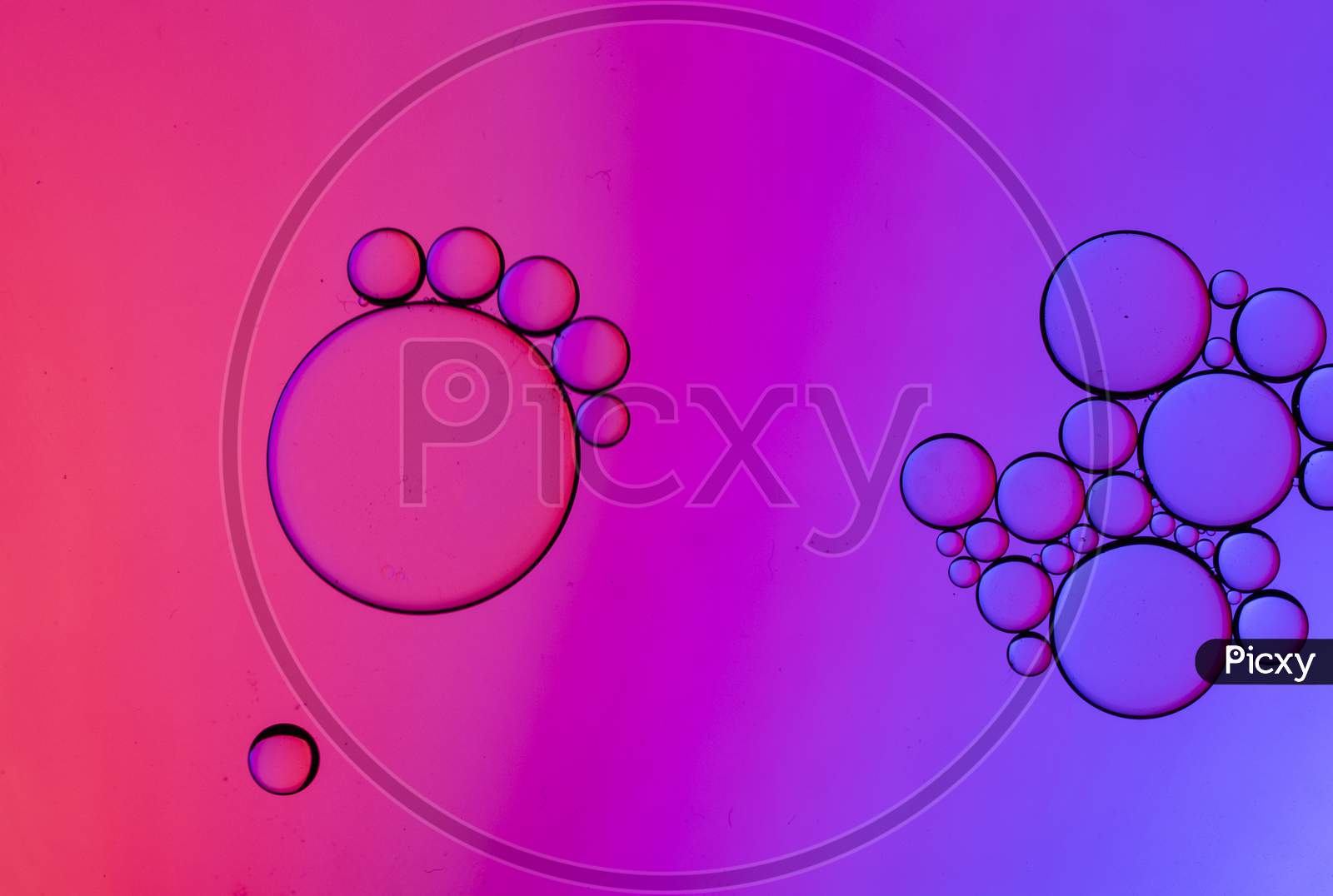 Colorful Oil Drops On A Pink Background Water Surface