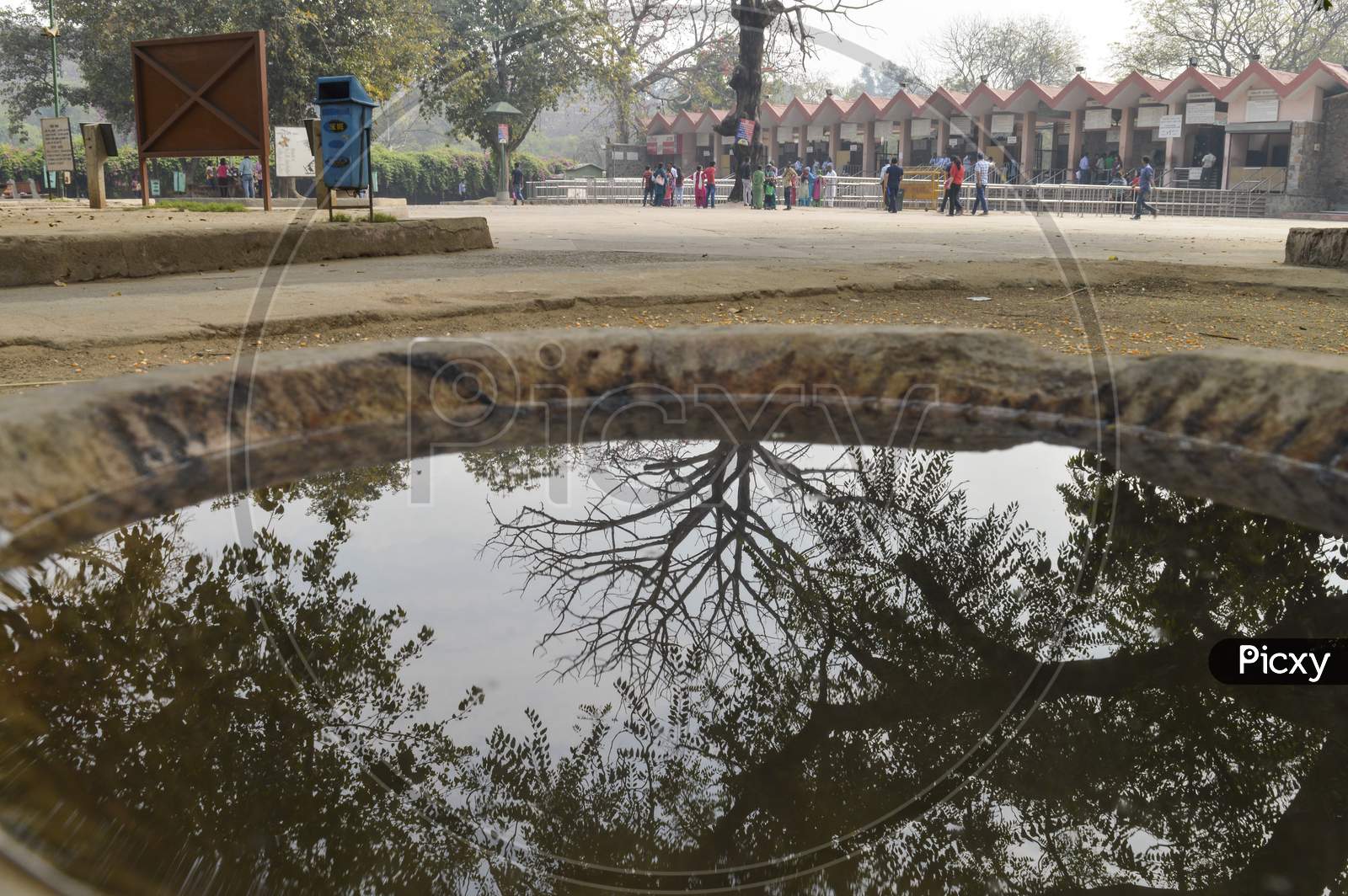 A Reflection Of Big Tree Which Is Located Outside Of Zoo And Old Fort With Sky.