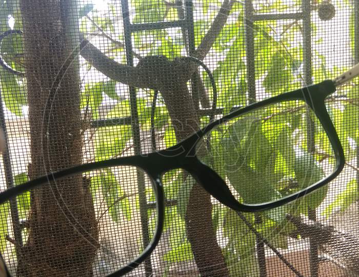 Nature through my glasses
