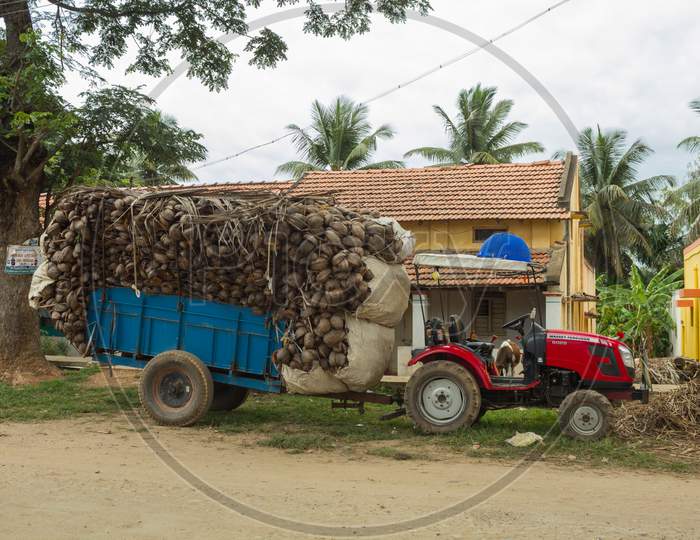 A Typical Rural scene of a Village street with a Tractor filled with Dry Coconut Shells in front of a Tiled roof House near Mysuru in Karnataka/India.