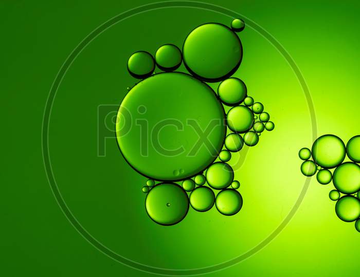 Colorful Oil Drops On A Green Background Water Surface
