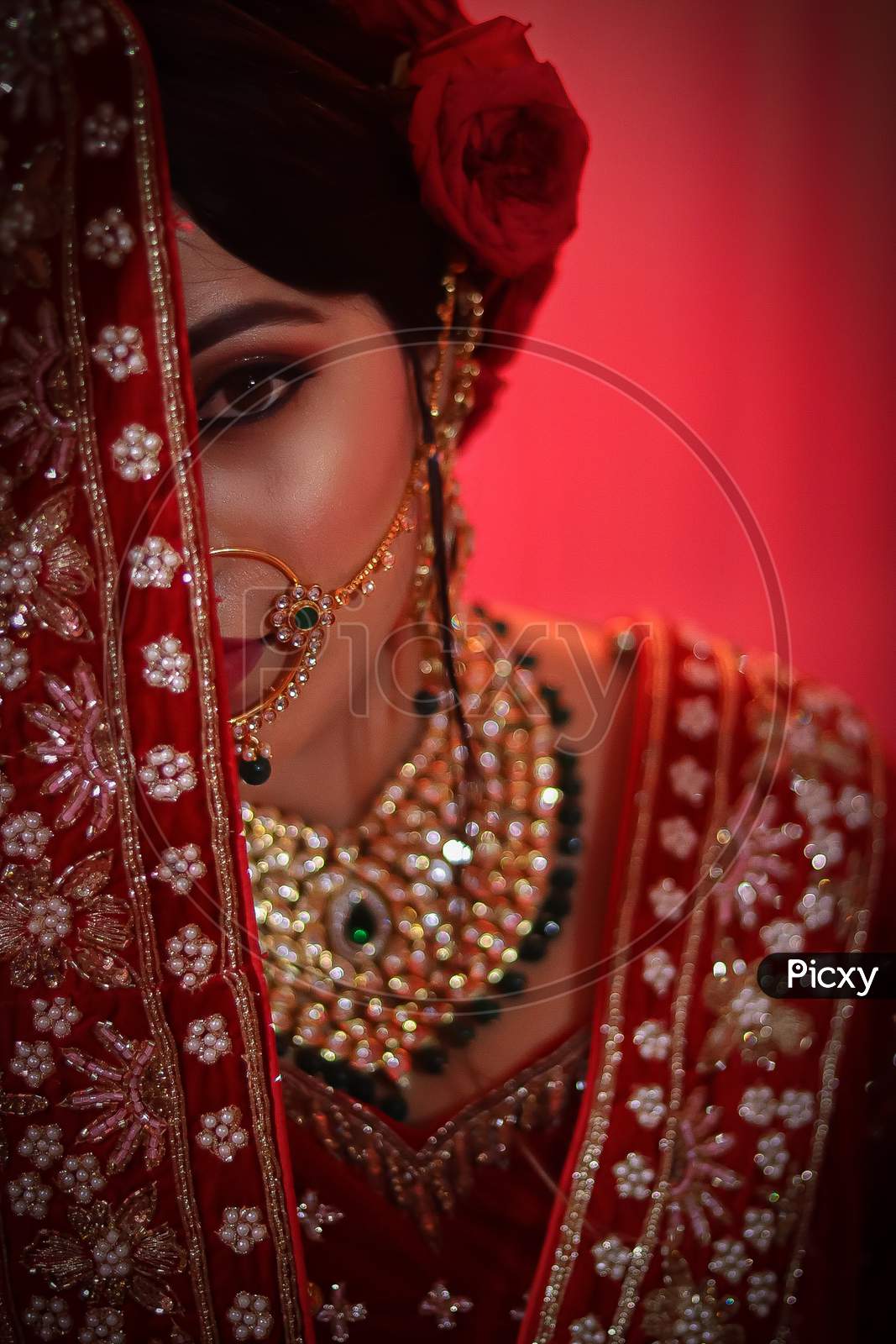 Indian Bride, Wedding Photo