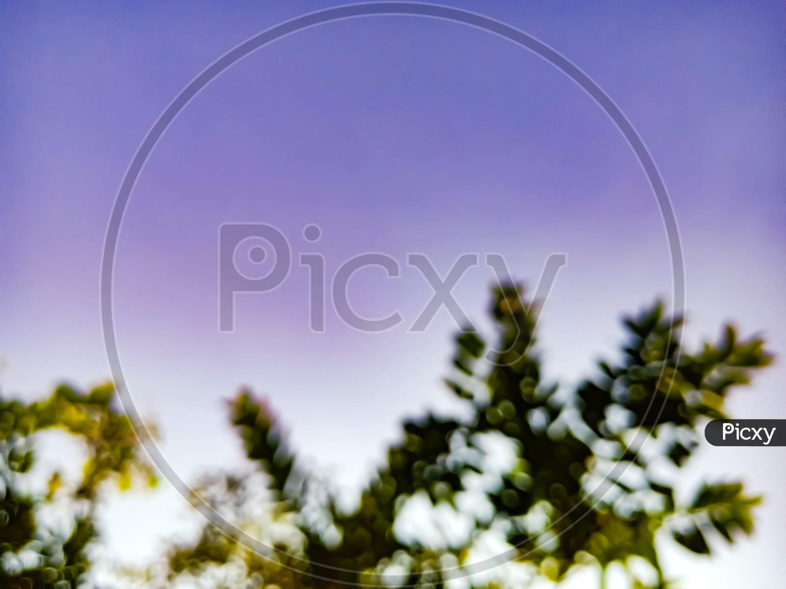 Natural Sky With Green Color Leaves Displayed Blur Background.