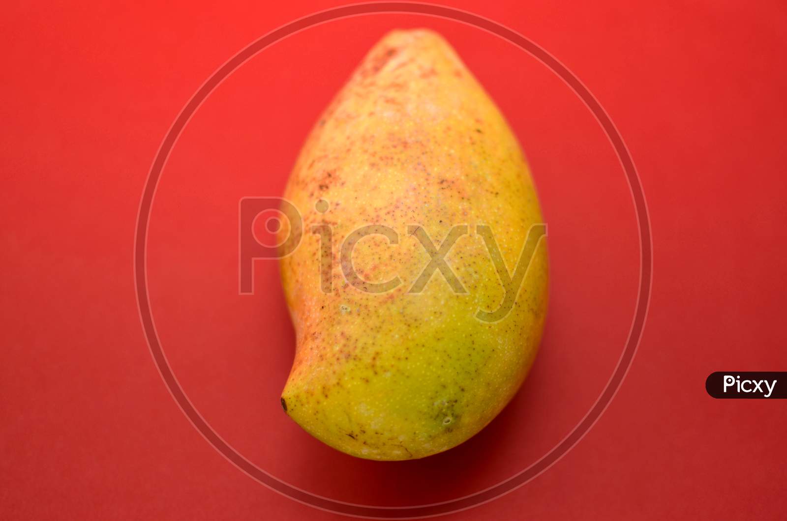 A Yellow Indian Mango On Red Background