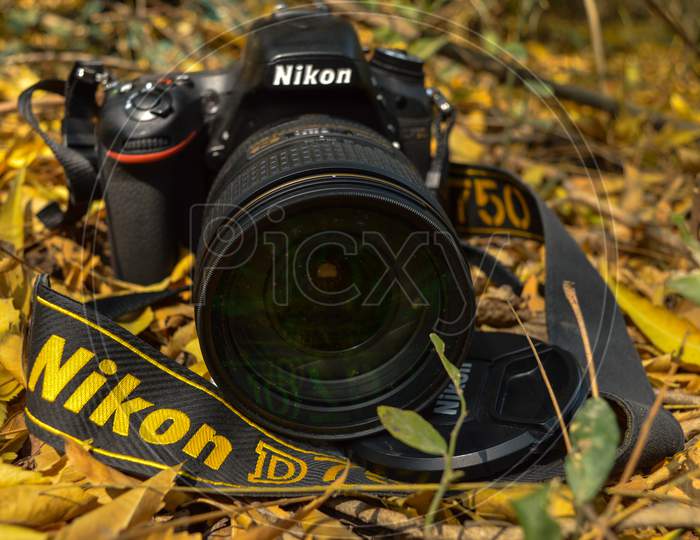 A Nikon Camera D750 Lying Down On The Garden Of Hauz Khas Lake And Garden From The Hauz Khas Fort At Hauz Khas Village At Winter Foggy Morning.