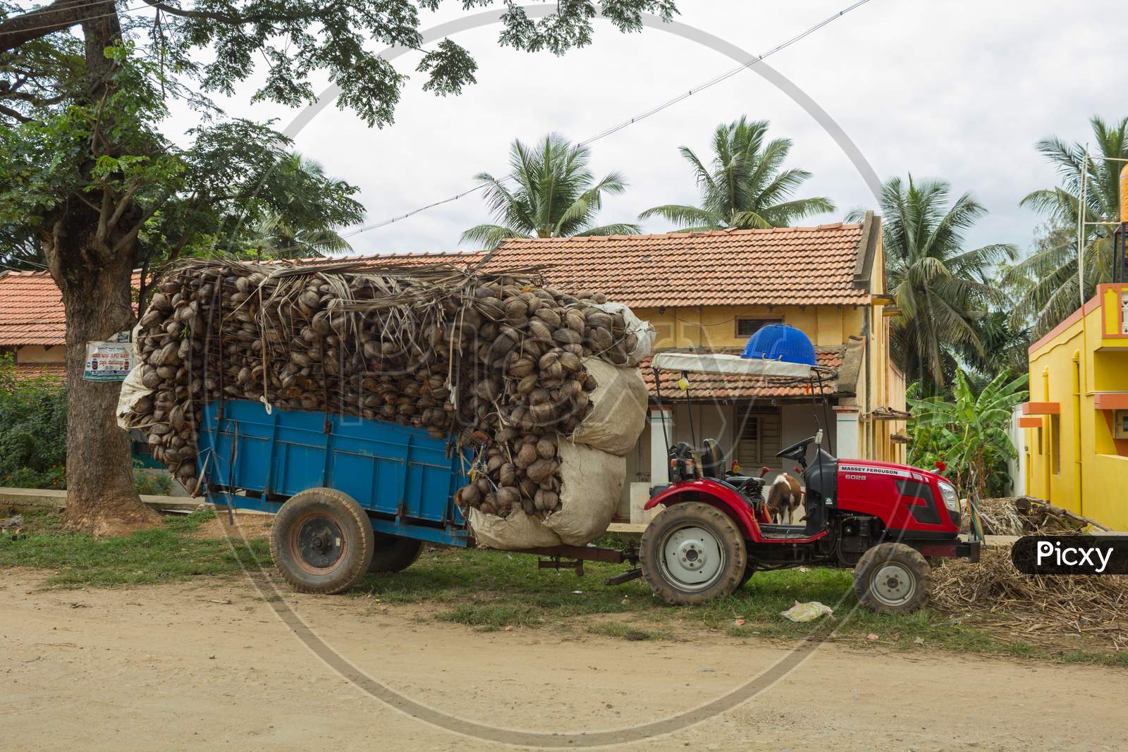 A Typical Rural scene of a Village street with a Tractor filled with Dry Coconut Shells in front of a Tiled roof House near Mysuru in Karnataka/India.