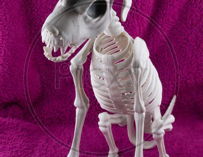Scary Sitting Dog Skeleton Halloween Decoration Isolated On Purple Background