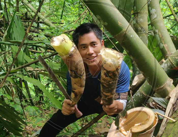 Baby bamboo collection in Arunachal Pradesh for Vegetables and making bamboo shoots || most famous bamboo shoots in Arunachal Pradesh