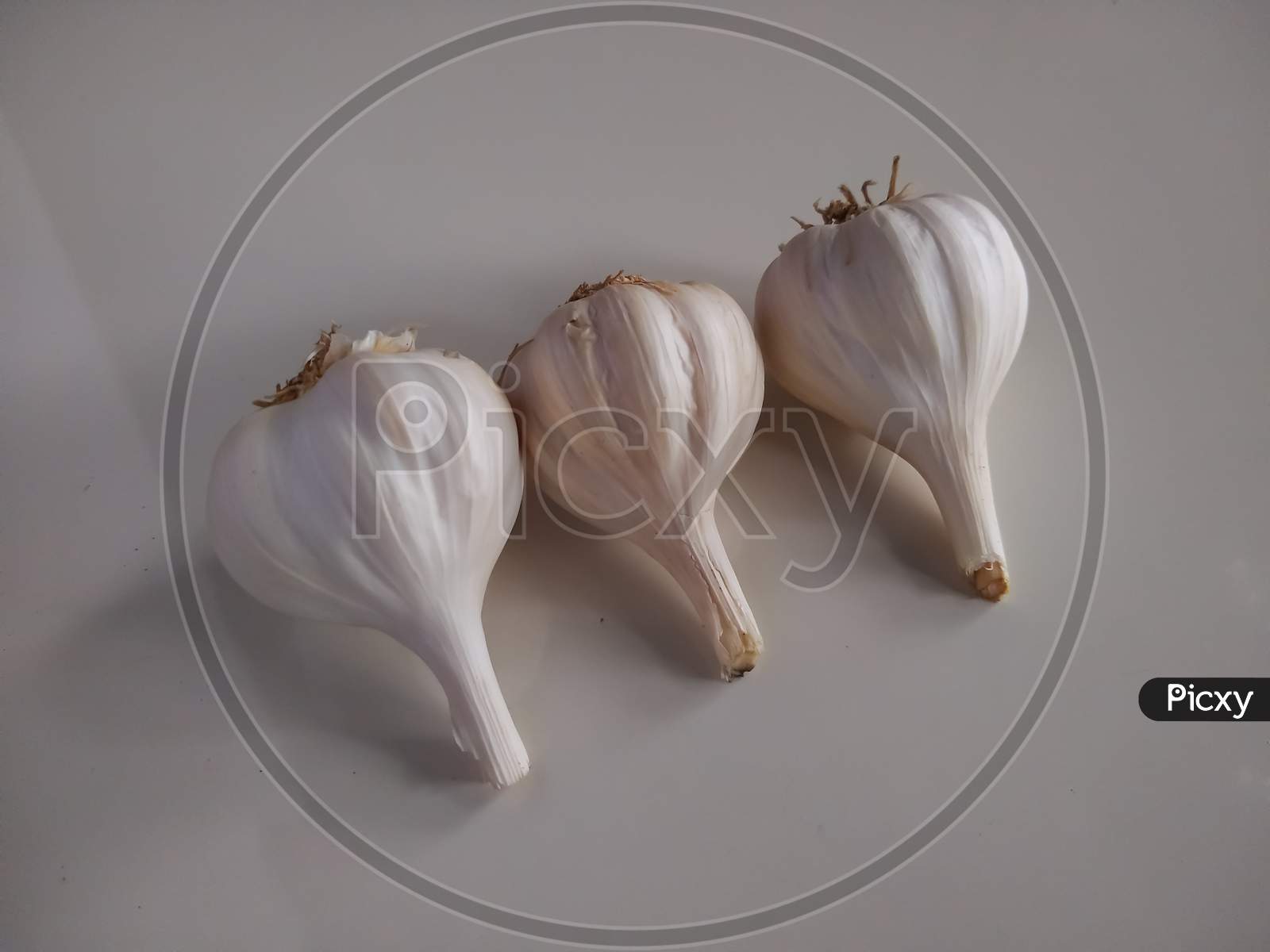 Raw garlic on white background
