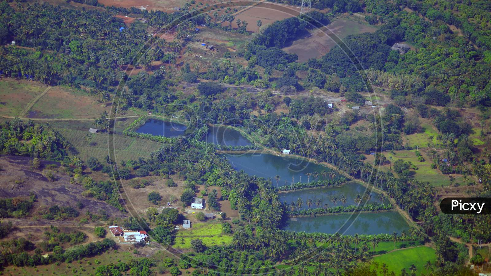 Top View Of The Farming Lands From The Nelliyampathy Hill Station Kerala India