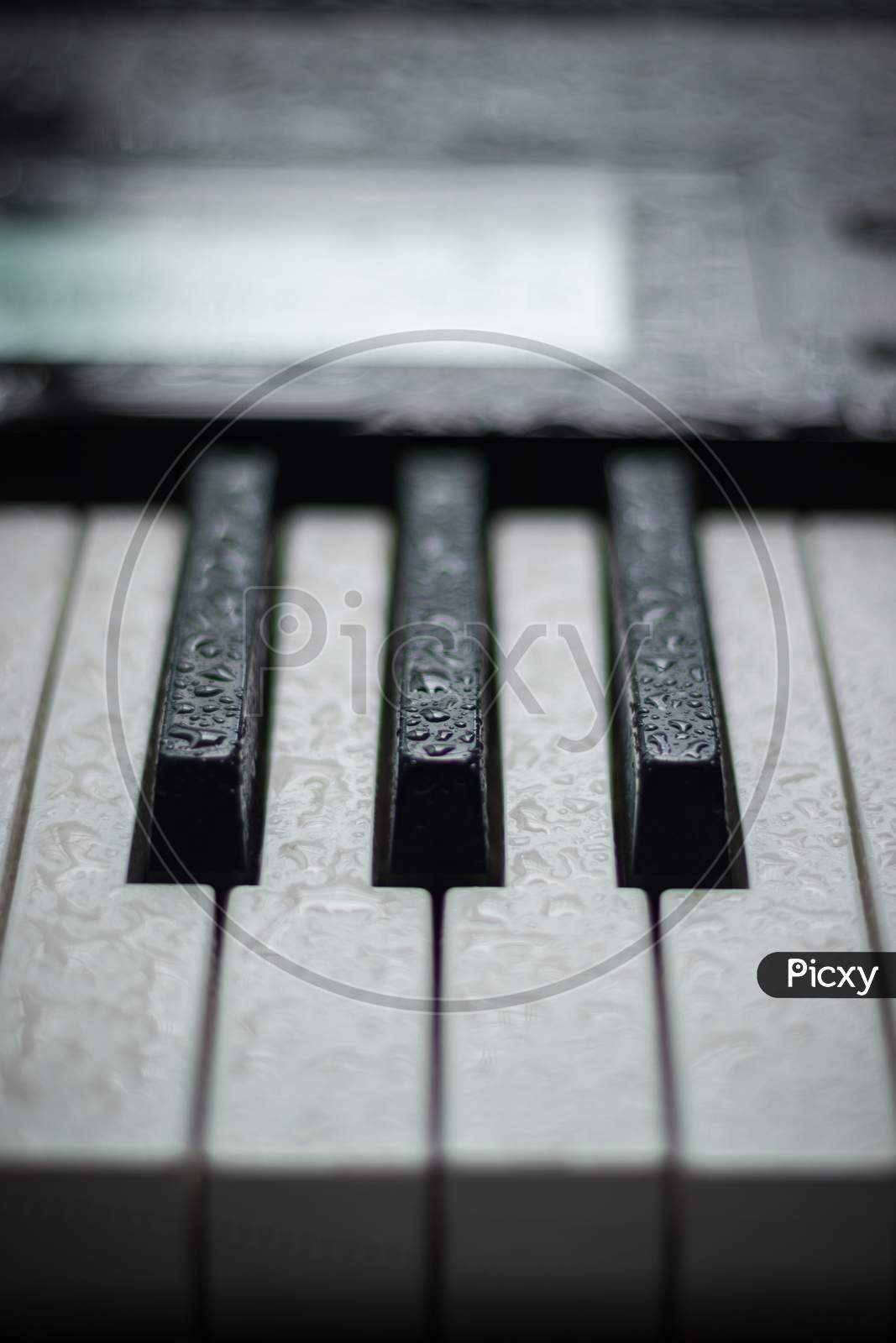 some creative pictures of keyboard