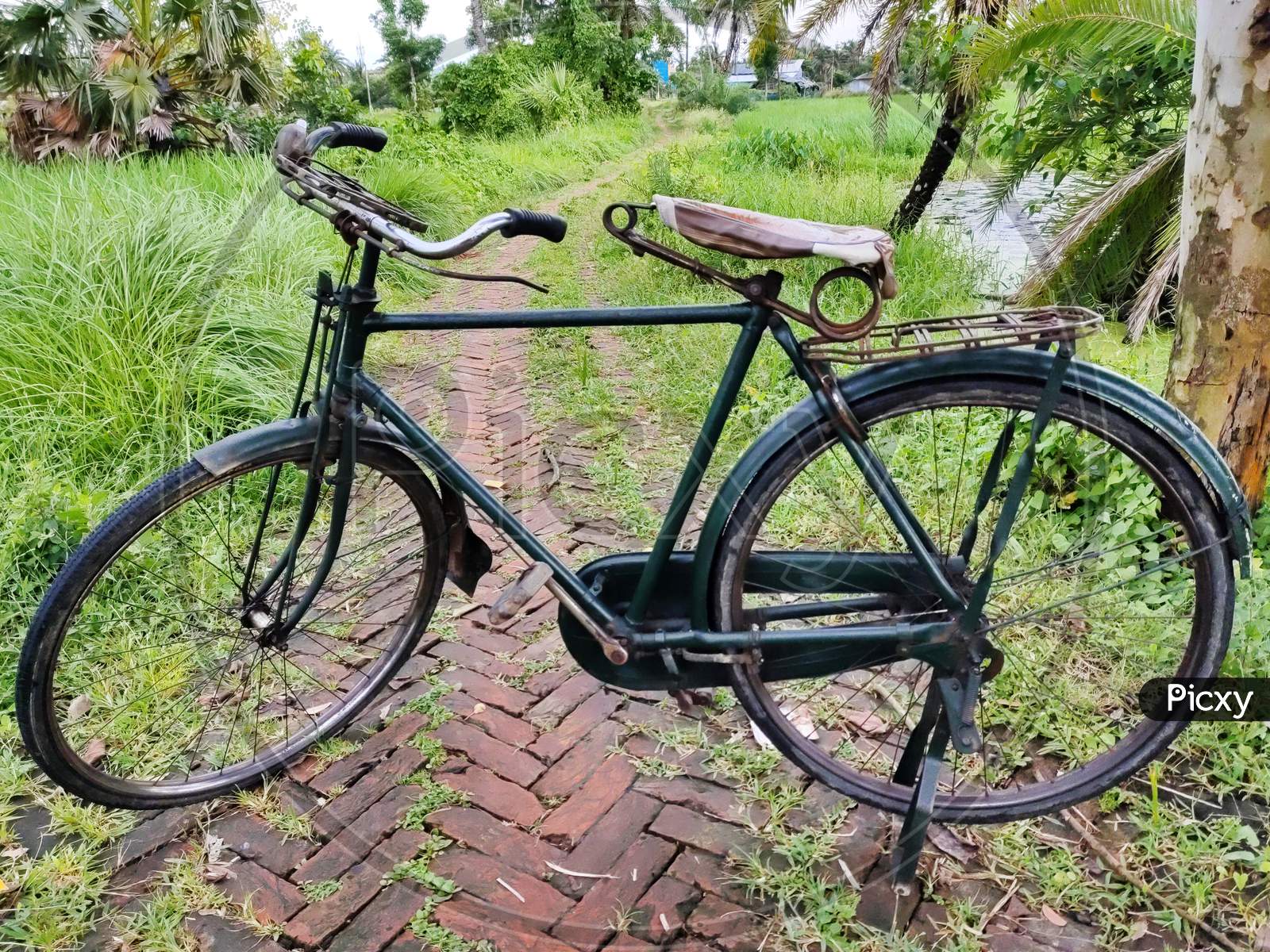 Old bicycle hot sale