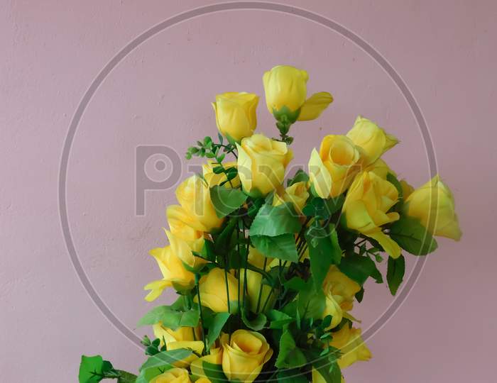 Closeup Of Yellow Flower And Green Leaves Isolated On Plain Background
