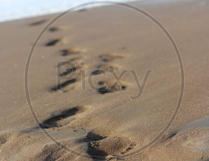 Foot Steps on Sand Beach