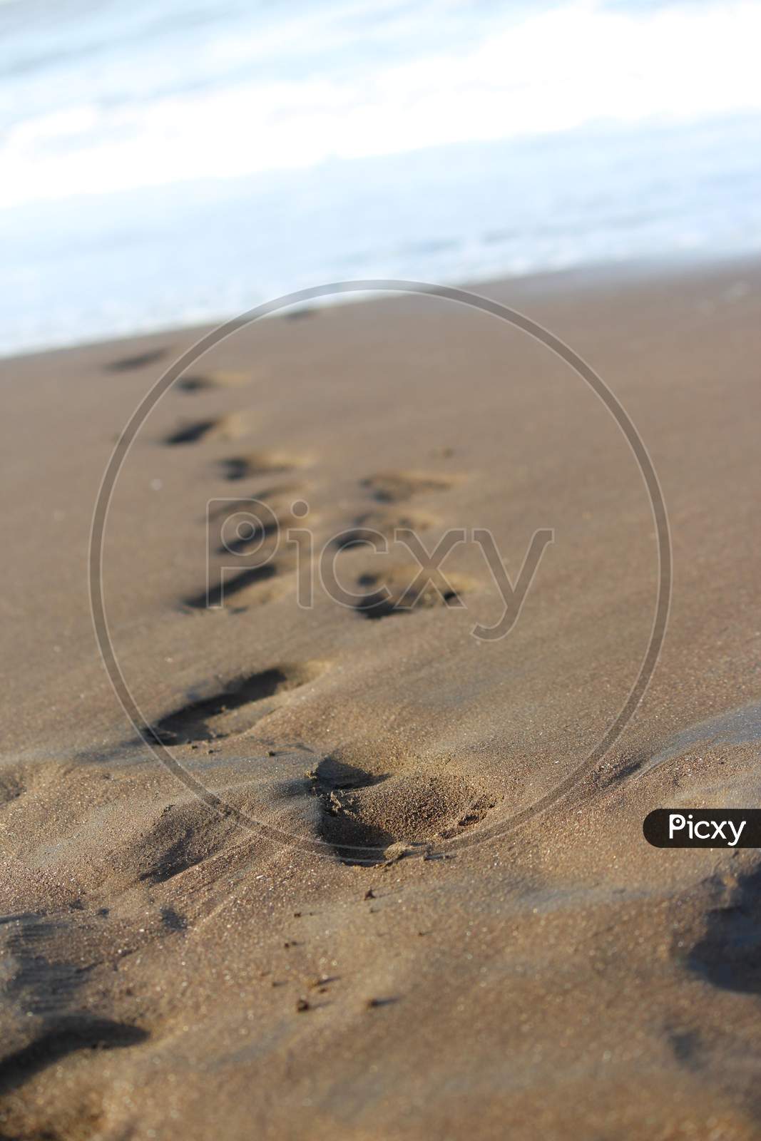 Foot Steps on Sand Beach