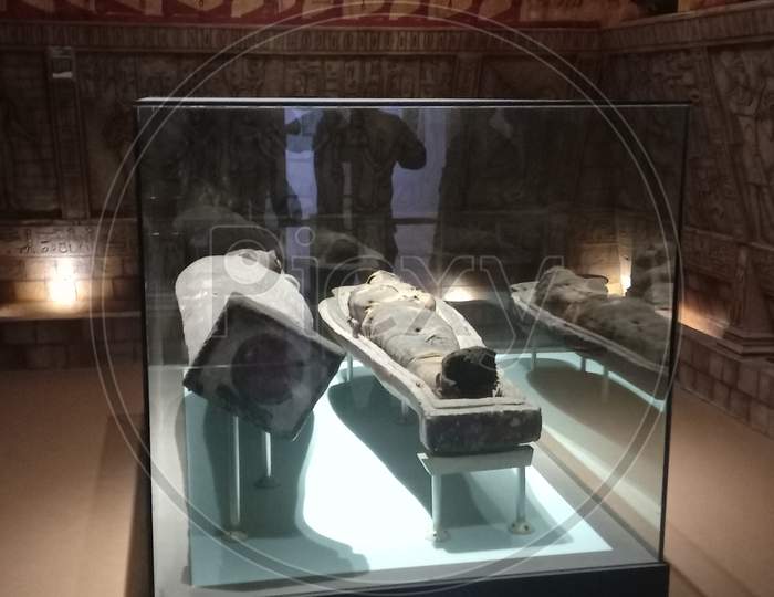 Egyptian mummy in Lucknow zoo museum