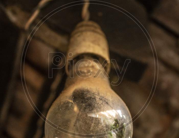 Close Up Image Of A Dusty Old Bulb With A Green Leaf