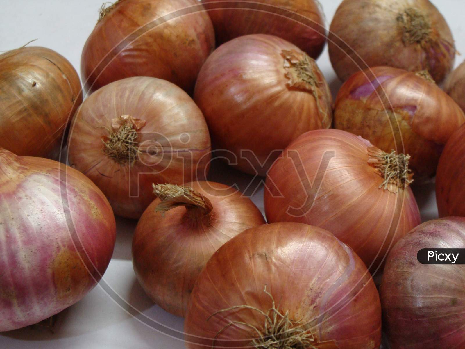 onion hd scene