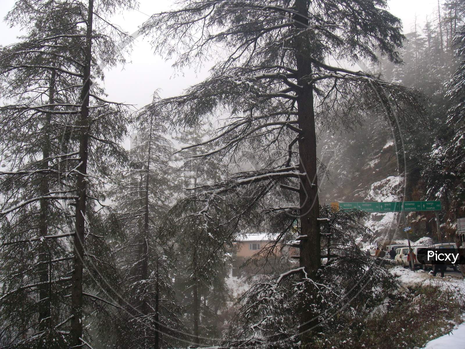 Shimla, on a winter frosty day, after the snowfall