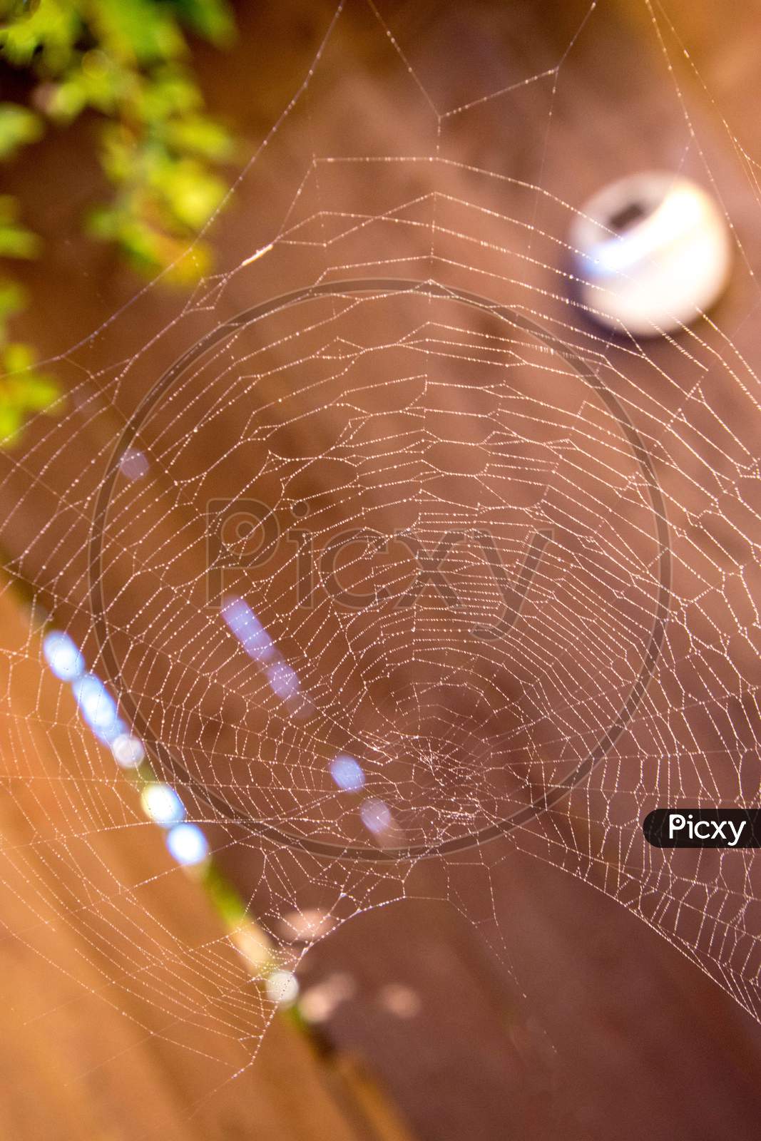 Spider Web Design
