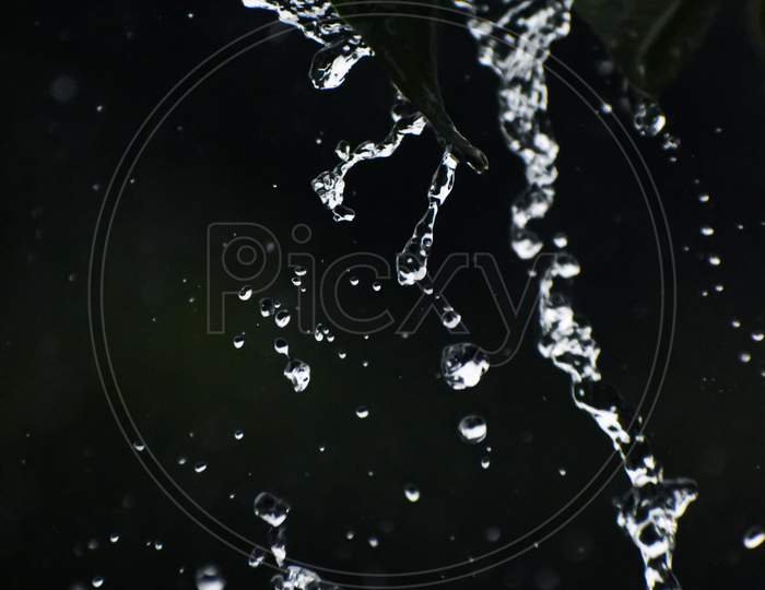 Water flowing over the leaf
