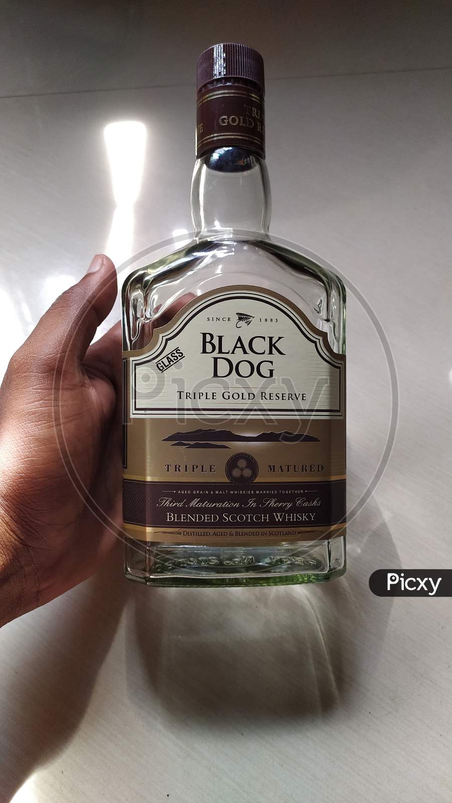 what is black dog drink