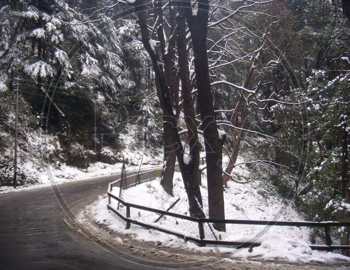 Shimla, on a winter frosty day, after the snowfall