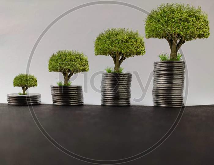 plant growing step on coins. concept finance , accounting and investment
