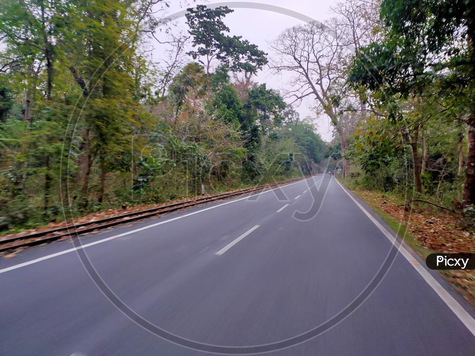Lonly road