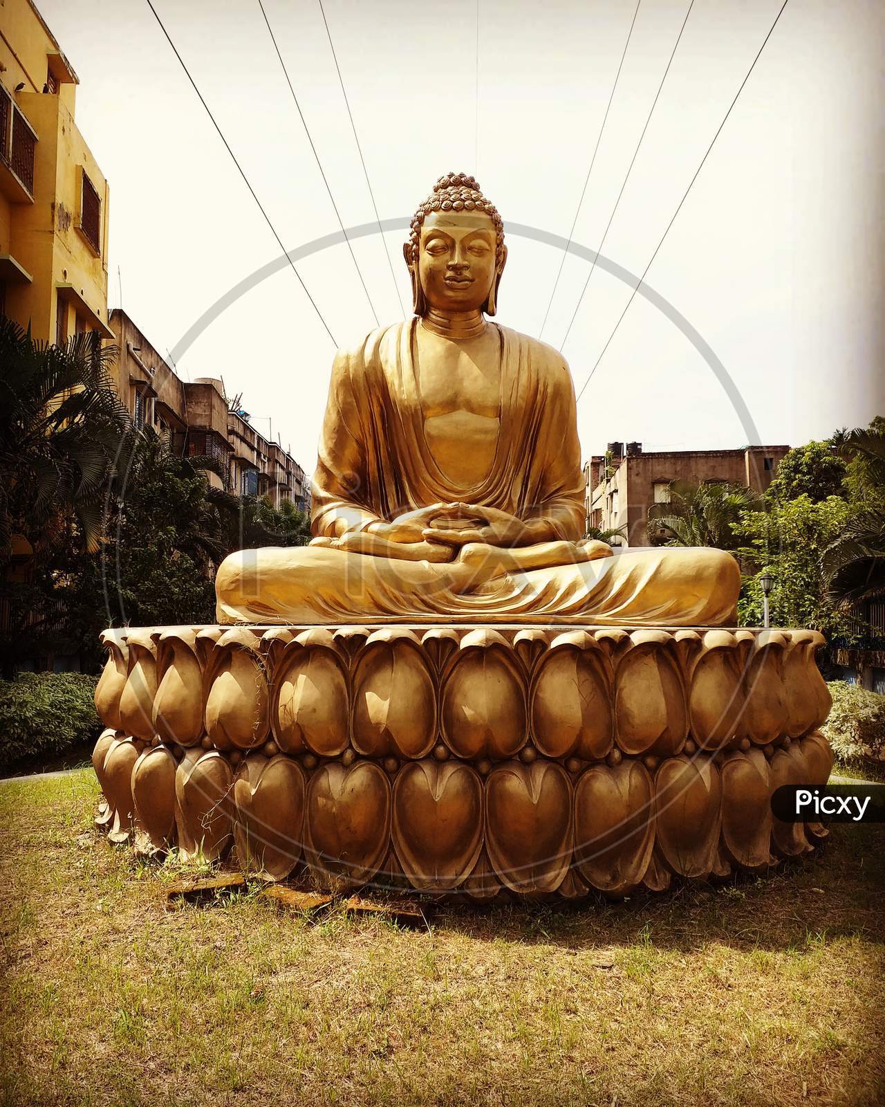 Beautiful Buddha Idol