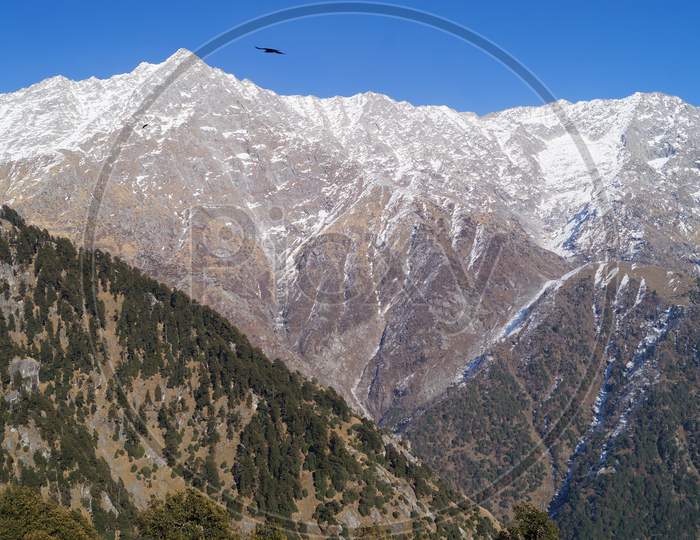 Beautiful mountains and nature click Triund Himachal Pradesh
