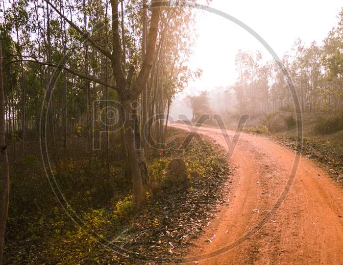 In the morning, there is a red dirt road in the middle of Jhargram forest