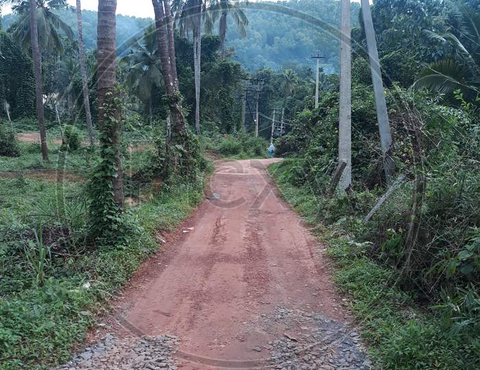 The village road in Mangalore
